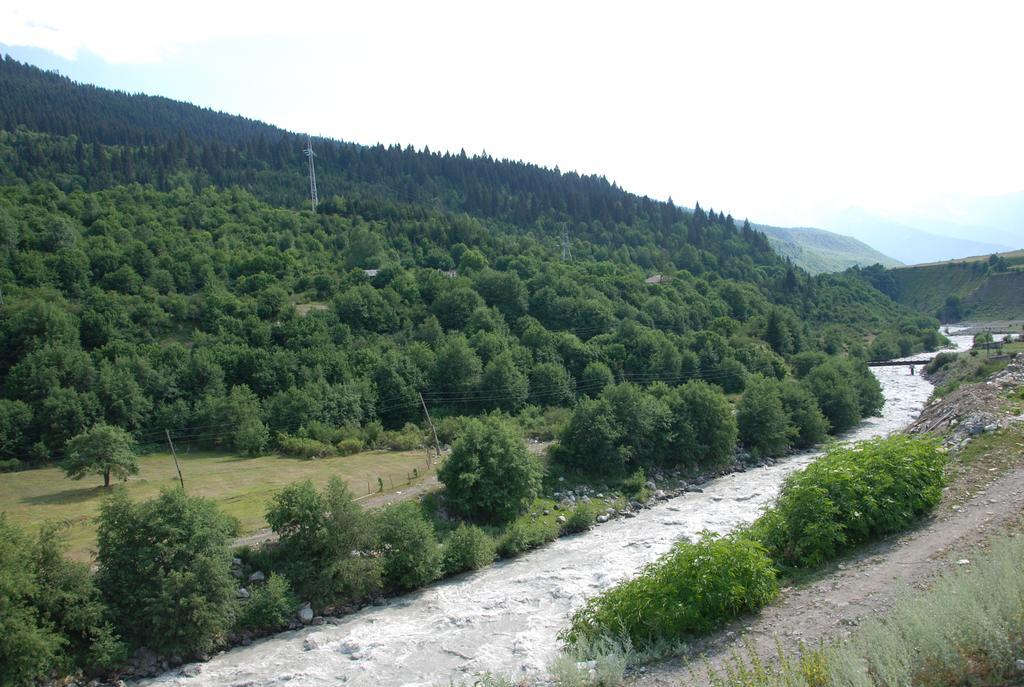 Keti Pilpani Guesthouse Mestia Buitenkant foto